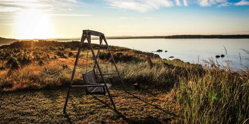 从沙龙到快闪：蒂娜168的蒸汽波风格服饰搭配与绿色时尚主题实践