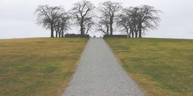 从蒂娜168爆款单品解码2024时尚女装趋势：绿色主题与搭配新法则