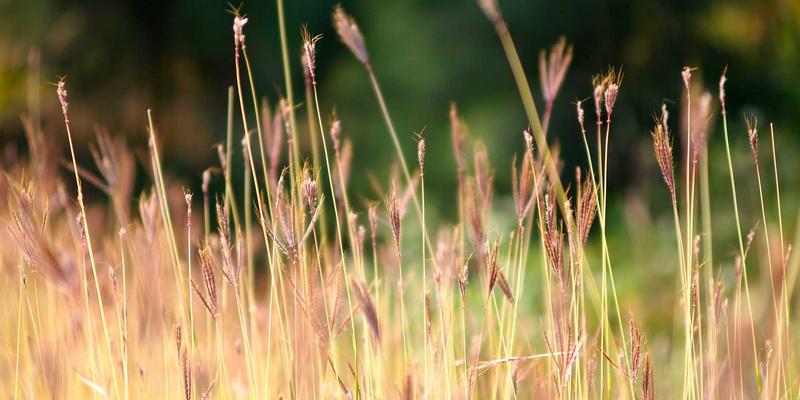 绿色主题时尚与蒸汽波美学：解码蒂娜168服饰搭配背后的核心客群