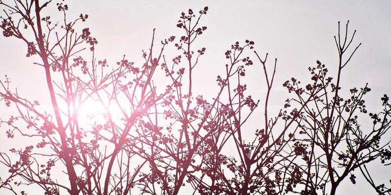 蒂娜16877：蒸汽波美学与女装搭配的艺术融合