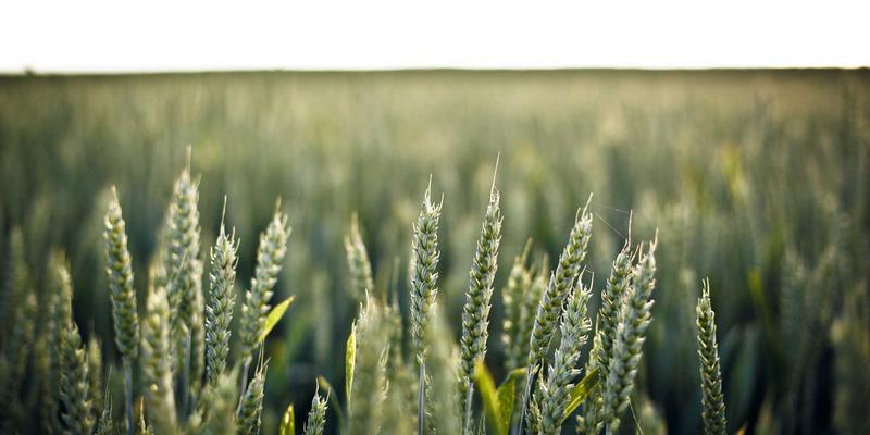 蒂娜16885:解锁绿色主题时尚,重塑都市女装搭配哲学