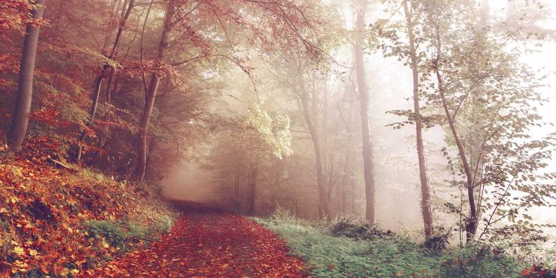 蒂娜168品牌视觉识别系统解析：蒸汽波美学如何重塑服饰搭配新潮流