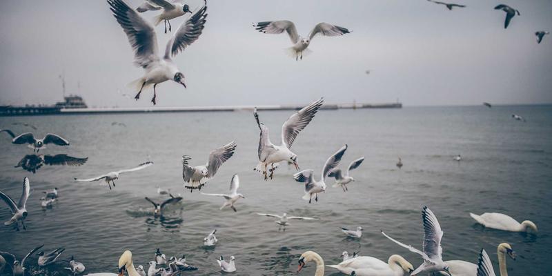 蒂娜168如何用蒸汽波风格重塑时尚女装视觉叙事？解析其低保真美学的营销密码