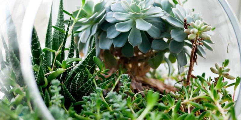 蒂娜168是什么？揭秘蒸汽波风格女装搭配新风潮