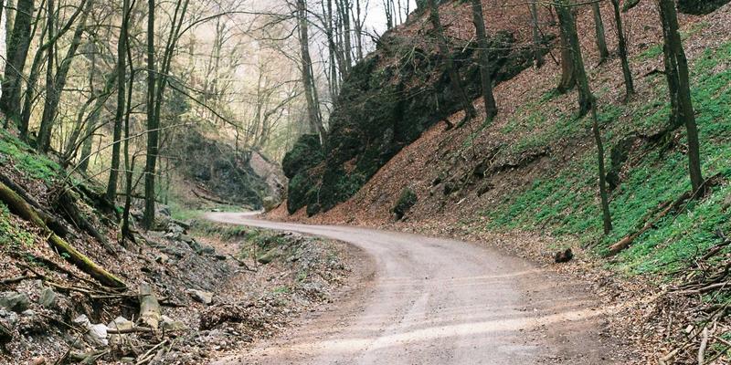 蒂娜168:用绿色主题时尚重新定义女装搭配的艺术