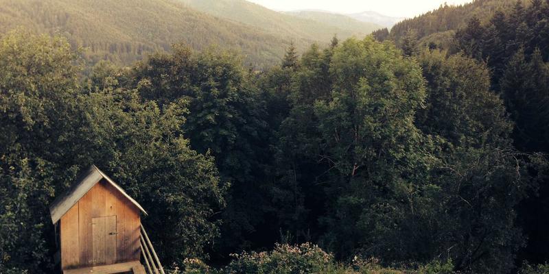 蒂娜168的供应链密码：小批量、多款式模式如何成就时尚女装搭配新风尚