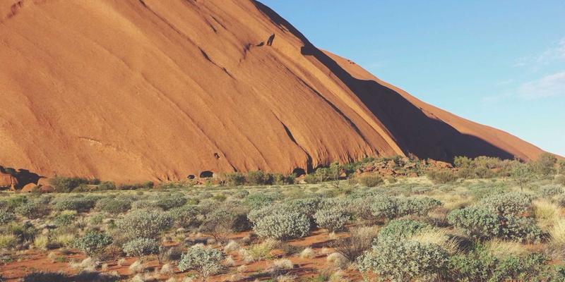 蒂娜168的视觉叙事：如何通过绿色主题时尚与蒸汽波风格Lookbook构建品牌世界观