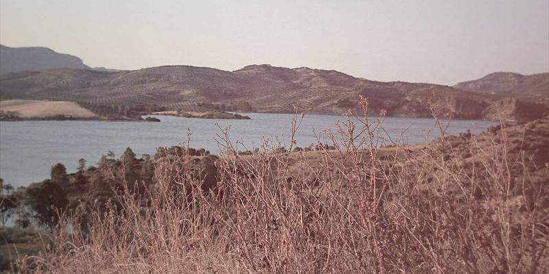 蒂娜168私服衣橱大公开：揭秘非商业拍摄中最爱的绿色主题与蒸汽波风格穿搭