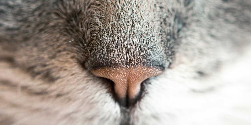 蒂娜168线下快闪店设计理念解析：如何用沉浸式蒸汽波美学重塑女装搭配体验