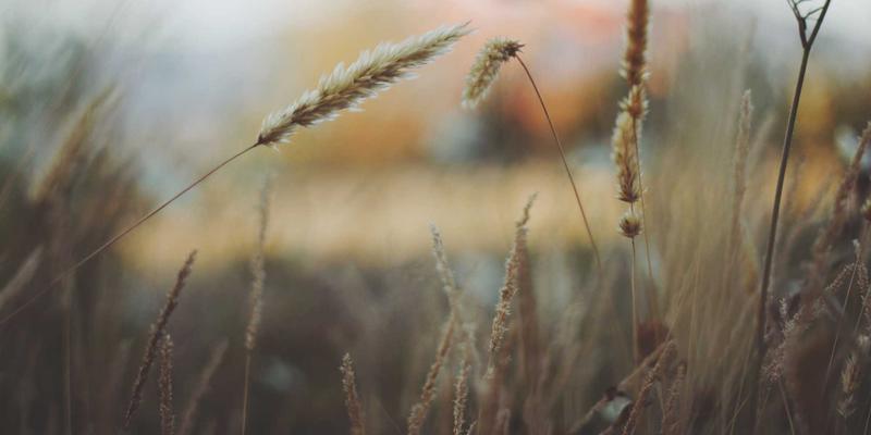 蒂娜168蒸汽波风格女装搭配指南：解锁赛博朋克元素的穿搭密码