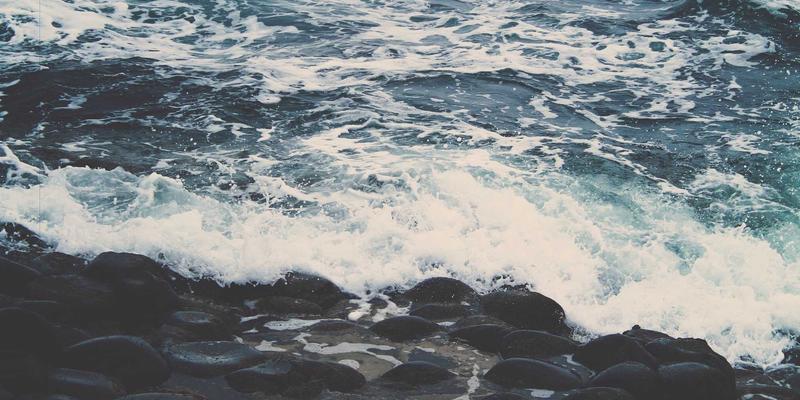 蒂娜168：解锁绿色主题时尚，打造高级感女装搭配新范式