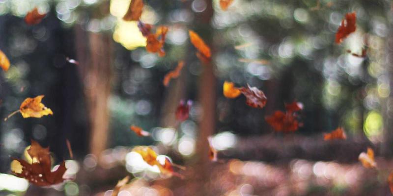 蒸汽波浪潮中的时尚符号:解码蒂娜16843的女装搭配美学